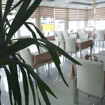 Dempa Bluemosque Hotel