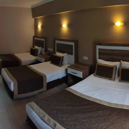 Dempa Bluemosque Hotel