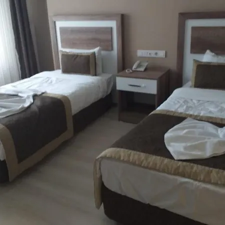 Отель Dempa 3*