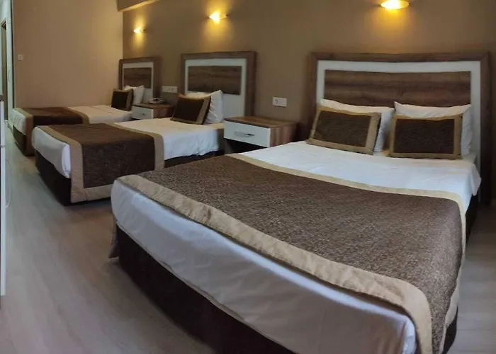 酒店 Dempa Bluemosque