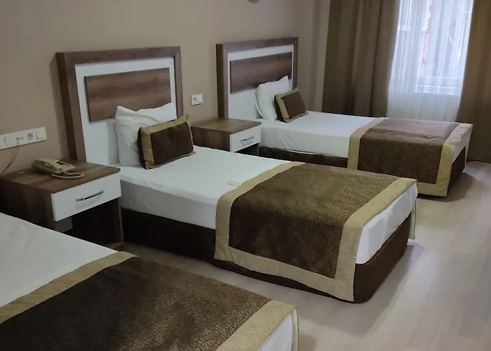 Dempa Bluemosque 3* 伊斯坦布尔