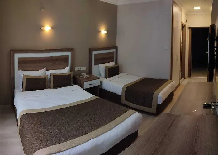 酒店 Dempa Bluemosque 3*