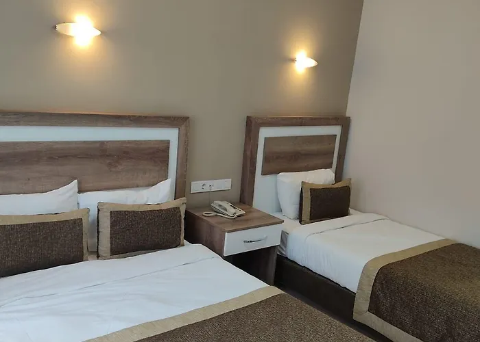 Dempa Bluemosque 酒店