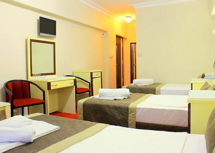 酒店 Dempa Bluemosque 3*